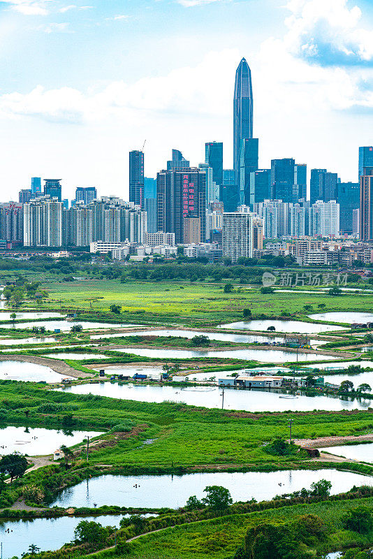 中国深圳美丽的天际线景观