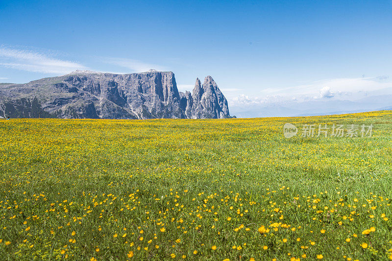 美丽的山与发光的山峰在日落秋天的风景在阿尔卑斯迪西在白云岩意大利