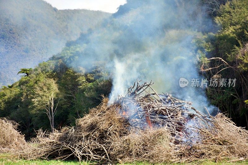 乡村场景中火被控制燃烧