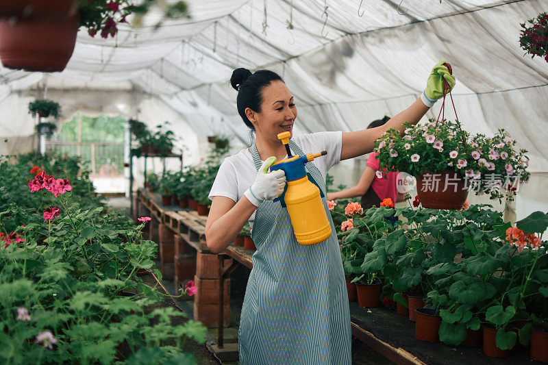 花匠，在温室里种花的妇女