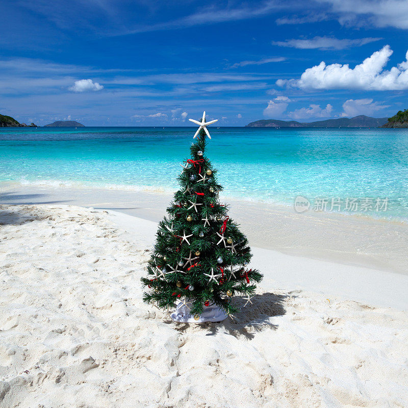 加勒比海热带海滩上的一棵圣诞树
