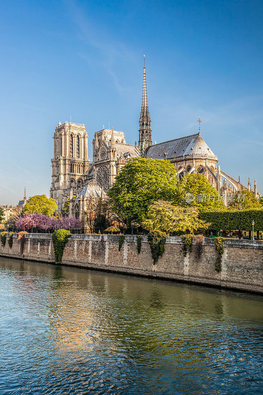 巴黎圣母院与塞纳河在春天，法国巴黎