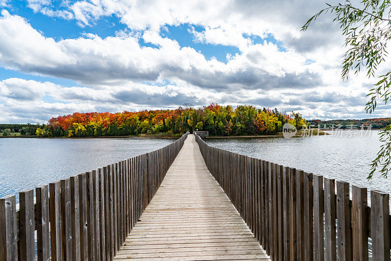 加拿大安大略省奥兰治村的岛屿湖保护区，秋天五彩缤纷的树叶