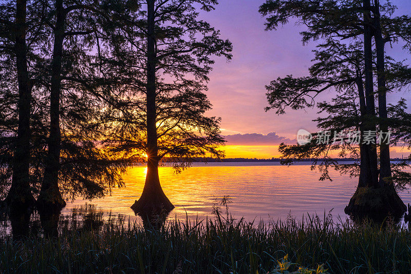 日落在Reelfoot湖在TN