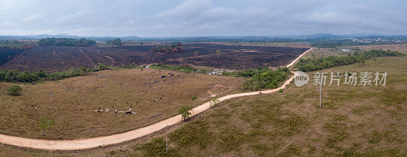 全景无人机鸟瞰亚马逊雨林的毁林情况，非法森林火灾为牧场烧牛，土路。生态、环境、农业、畜牧业、气候等概念。