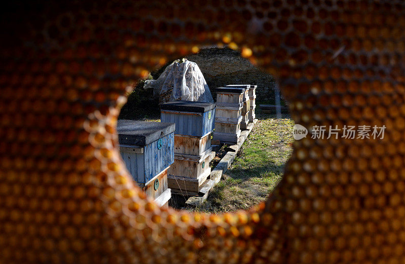 在一些蜂巢里有蜜蜂做的洞作为缩写。养蜂人在蜂房把手指放在像胜利和透过洞看蜂巢，祝贺节日
