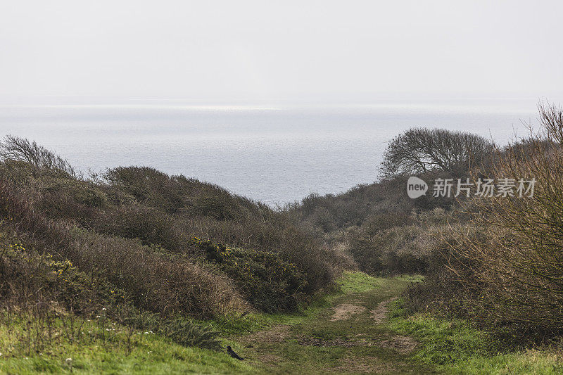 七姐妹国家公园高高的白色白垩悬崖，东苏塞克斯，英国