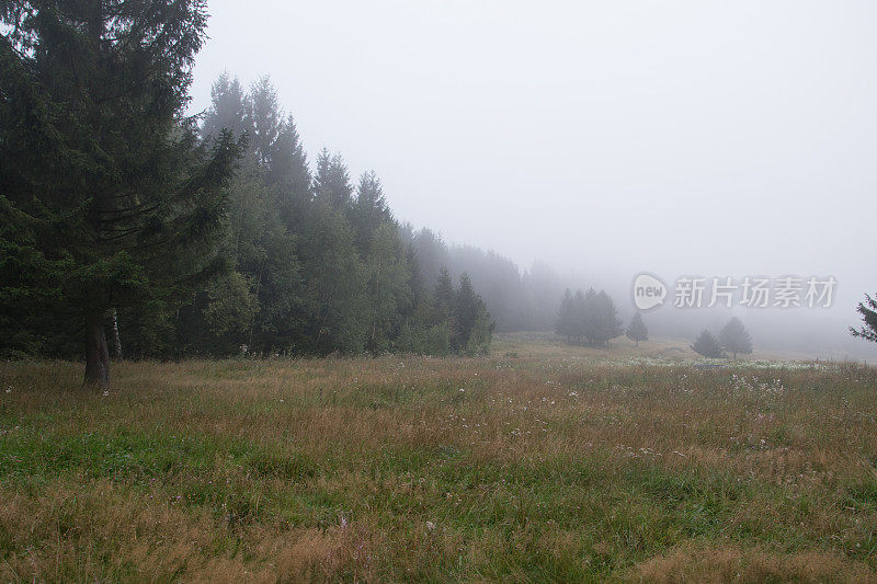 从斯佩茨布伦到戈巴克的长途徒步旅行路线上，图林根森林的迷雾正在消散