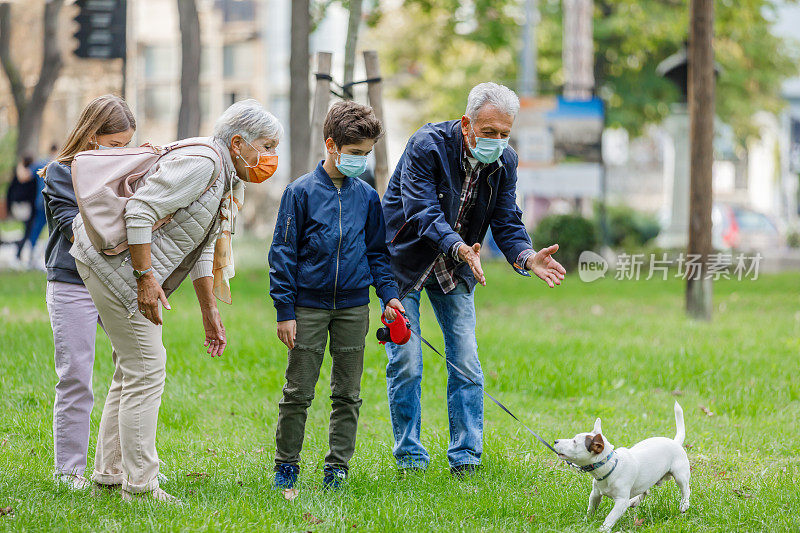 一对老年夫妇带着孙子孙女和一只可爱的狗在公园里散步。