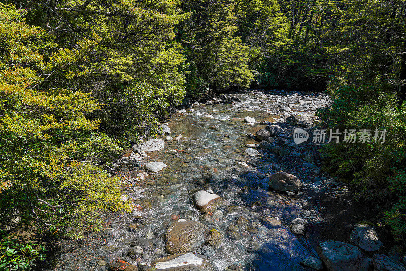 绕山轨道风景-在汤加里罗国家公园，马纳瓦图-旺加努伊，新西兰