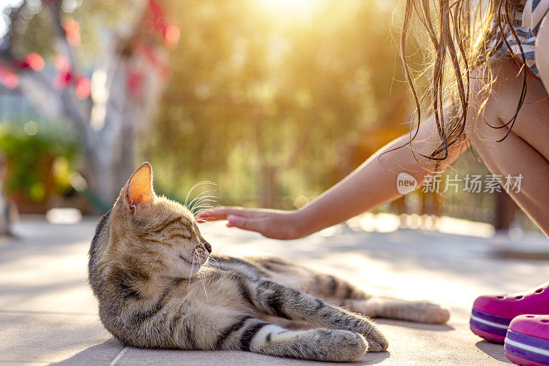 一个陌生的小女孩抚摸着猫