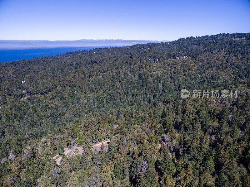 北加州无人机的森林和海洋视图