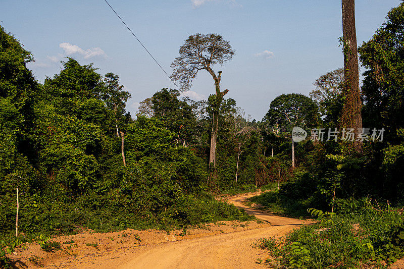 穿过亚马逊雨林的肮脏的小道路