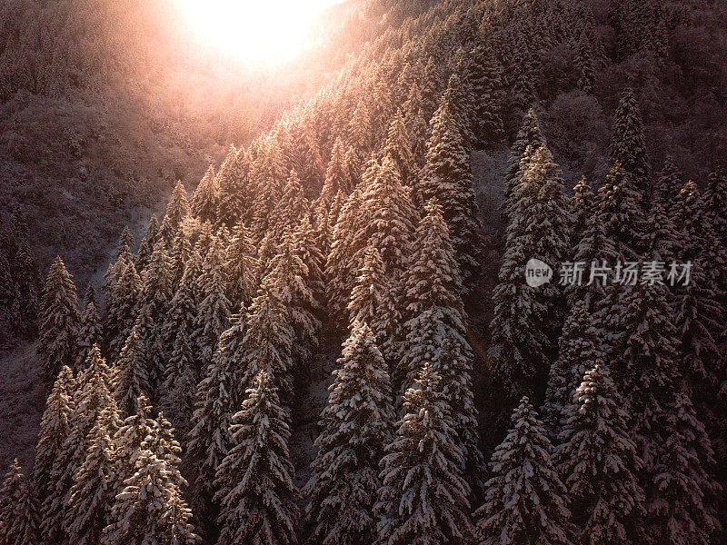 降雪，山脉和冬天