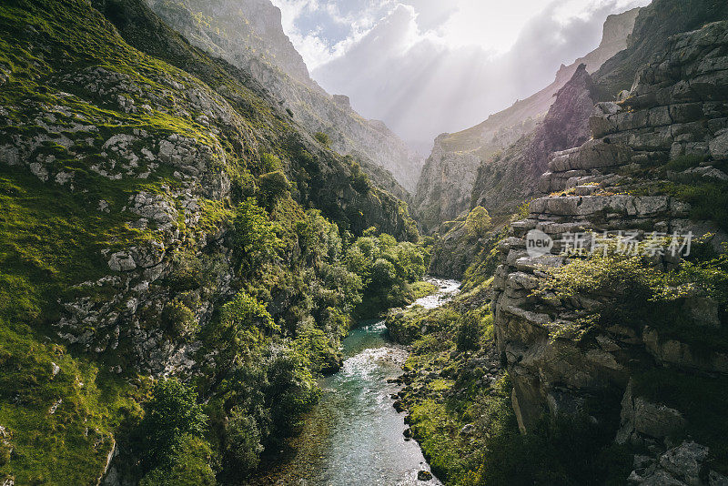 河流流经郁郁葱葱的山谷的风景