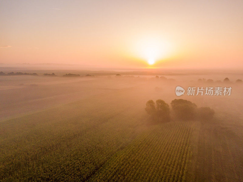 拂晓时分，雾笼罩在蓝天下的田园风光