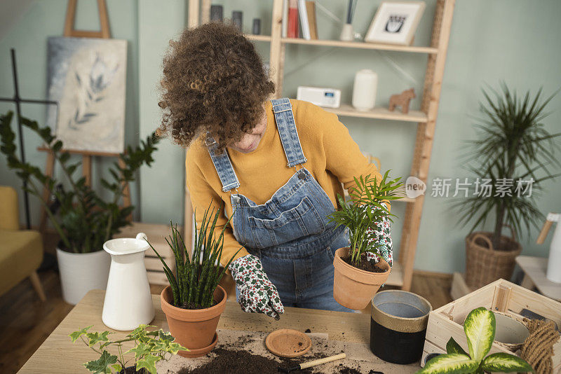 年轻女子种植和刷新她的植物