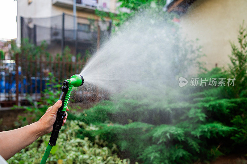 难以辨认的女性双手在花园里浇灌植物