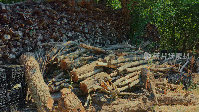 从森林里砍伐下来的一大堆柴火——柴堆和木材