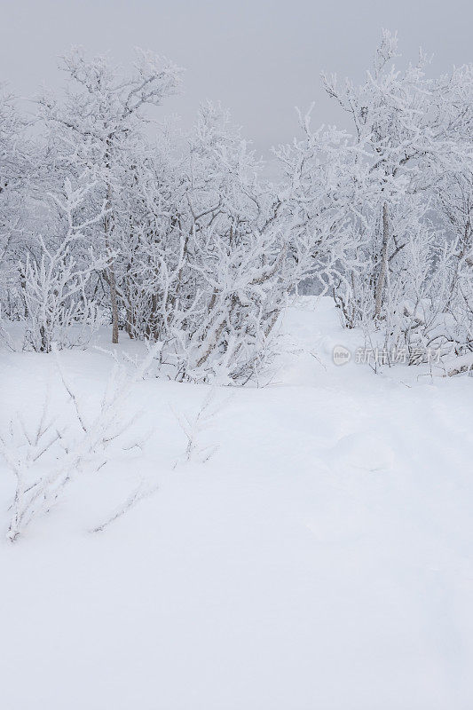 挪威滑雪胜地雾蒙蒙的冬日清晨