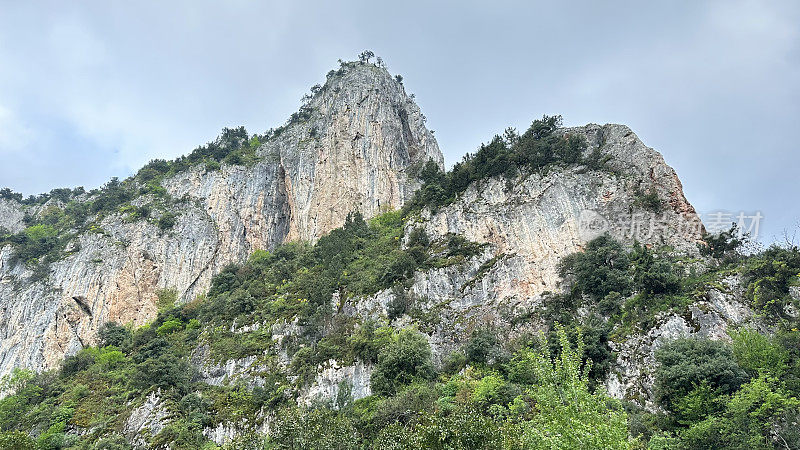 尼夫山泉村