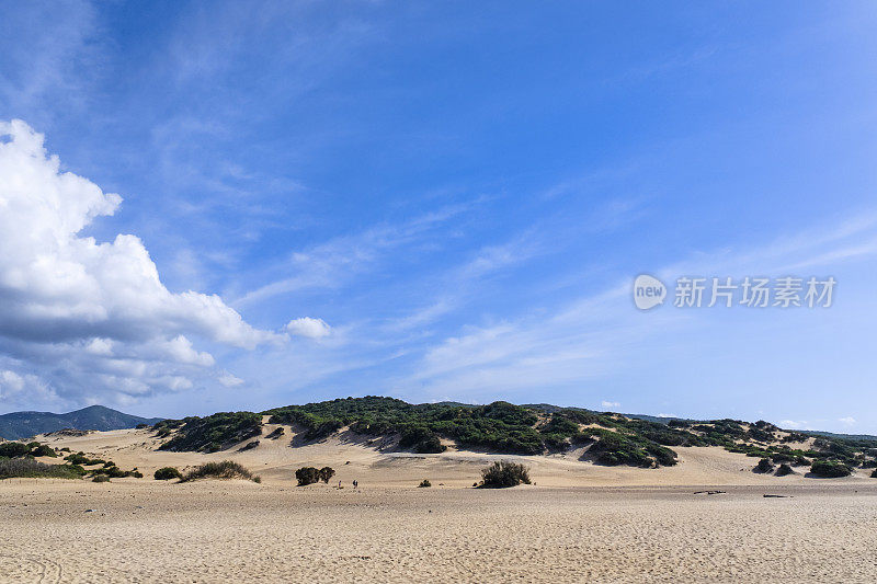 金色沙丘的皮西纳斯，一个自然地标在撒丁岛西部-意大利