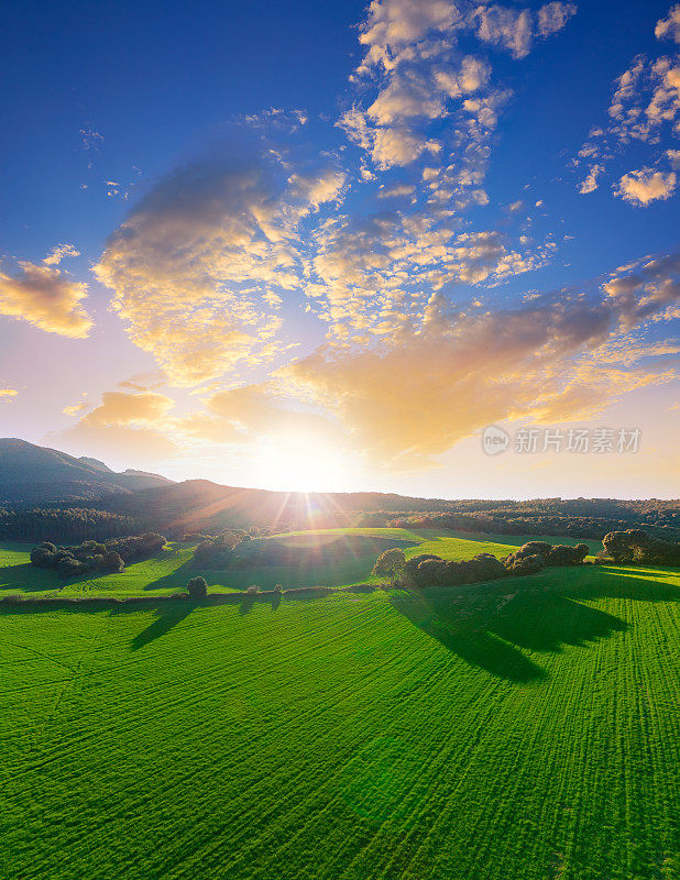 麦田草地上的夕阳，是春天新种植的