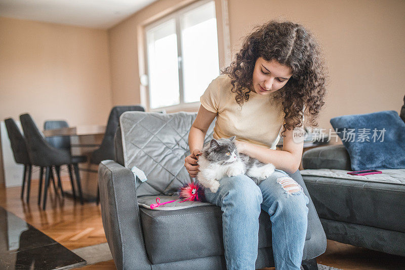 年轻的女人坐在沙发上和她的灰白色的猫和它的玩具玩