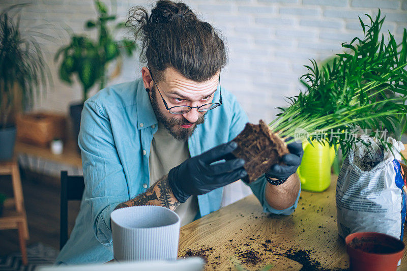 一个人在看他新种植的室内植物的根