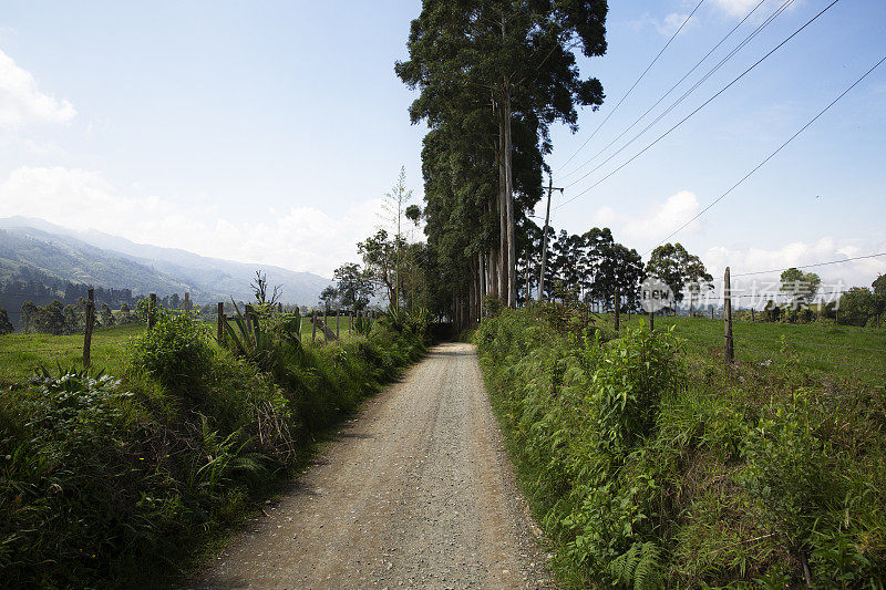 乡间小路