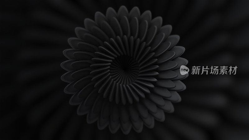 在抽象中形成圆圈的花。运动。用动画技术制作的像花一样扭曲的圆圈。