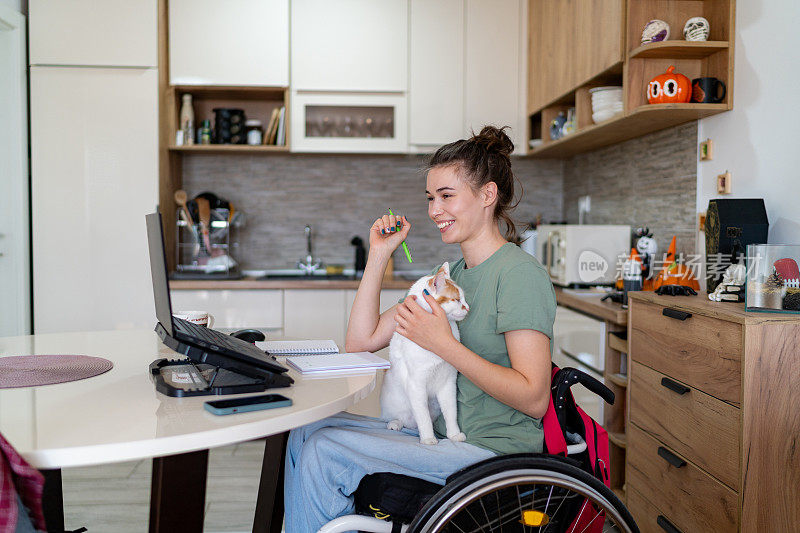 坐在轮椅上的快乐女人一边在家用笔记本电脑工作，一边给她的猫喂奶。