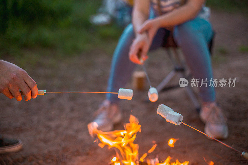 在篝火上烤棉花糖，朋友们在户外共度时光