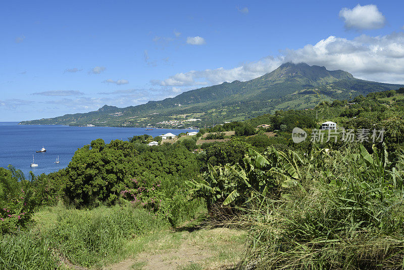 马提尼克岛的乡村景观