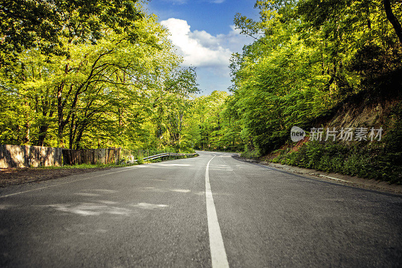 长长的山路，阳光普照，绿树环绕，空气清新。