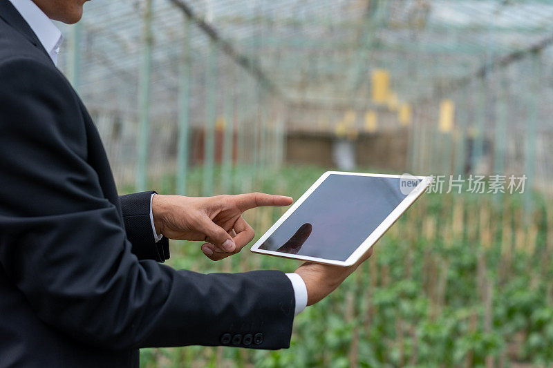 年轻的企业家拿着水果，用他的数码平板电脑控制着温室