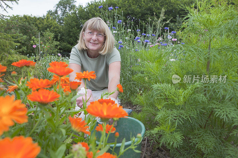 女士在花园里除草