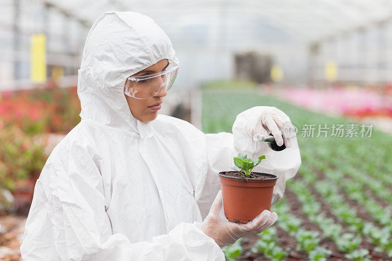 妇女向盆栽植物中添加液体