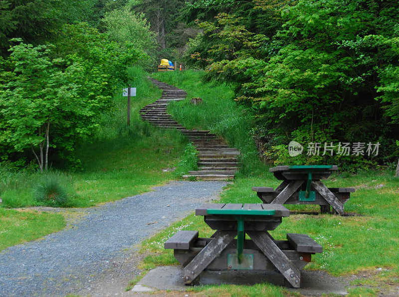 野餐桌