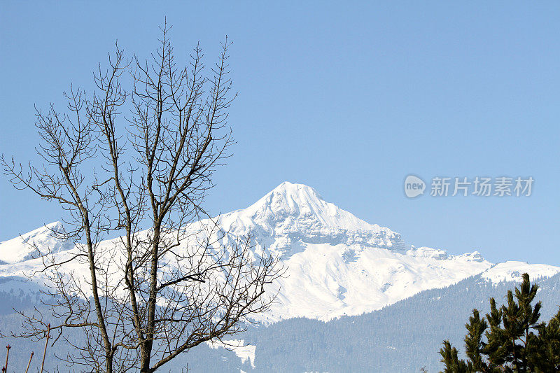 从瑞士的格林德瓦尔德可以看到白雪覆盖的史瑞克洪山