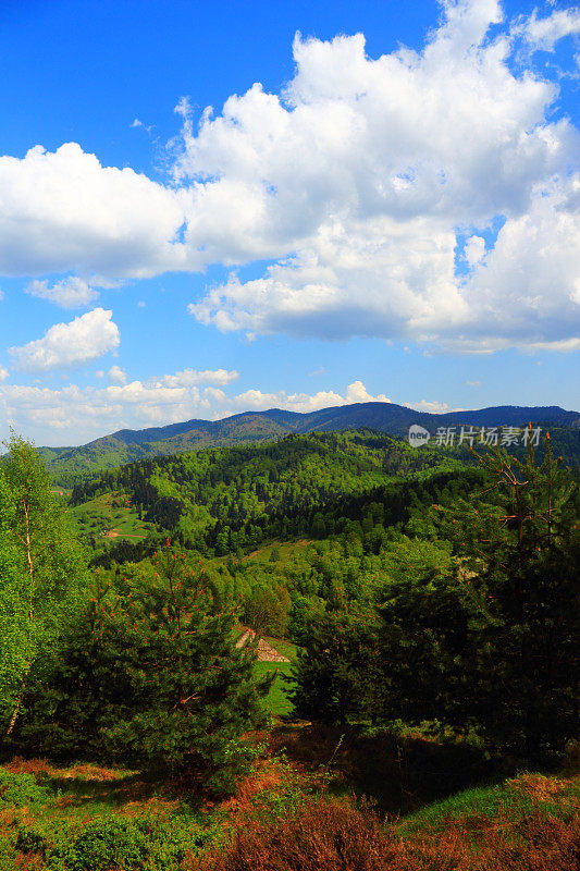 五月的山景。Beskid,波兰。