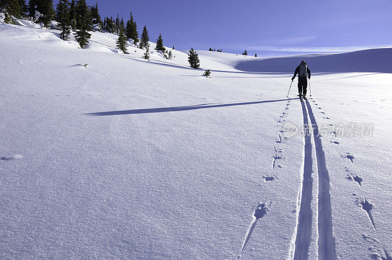 滑雪打破与皮肤轨道滑雪旅游