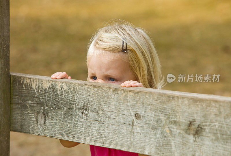 皱着鼻子的小女孩在篱笆那边看