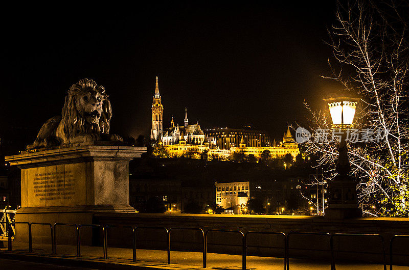 布达佩斯狮子雕像
