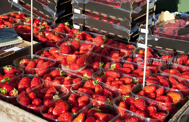 勃艮第农贸市场的春天草莓