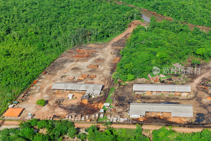 亚马逊的木材工业