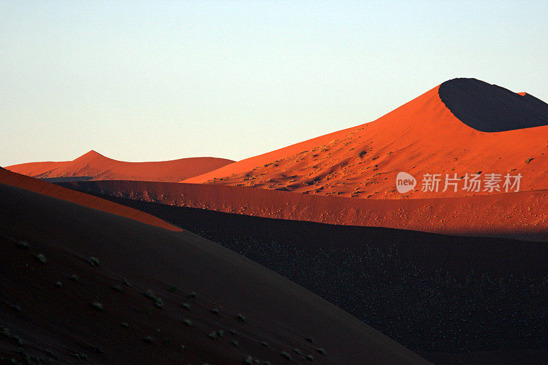 纳米比亚:沙丘在日出时变成红色――纳米比亚沙漠