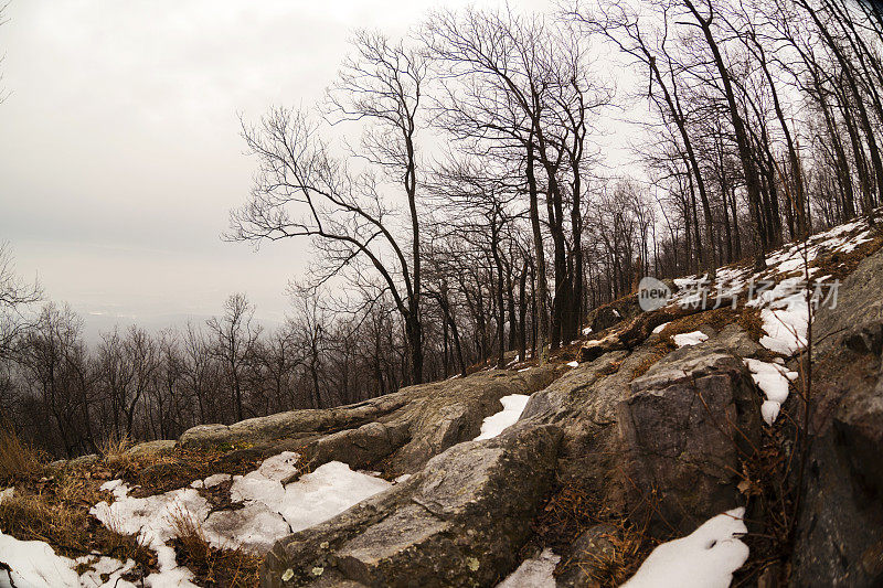 阿巴拉契亚山脉的冬天。Pennsilvania,科勒