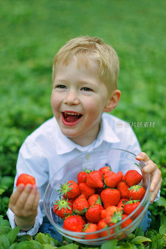 快乐的男孩在花园里吃新鲜的草莓