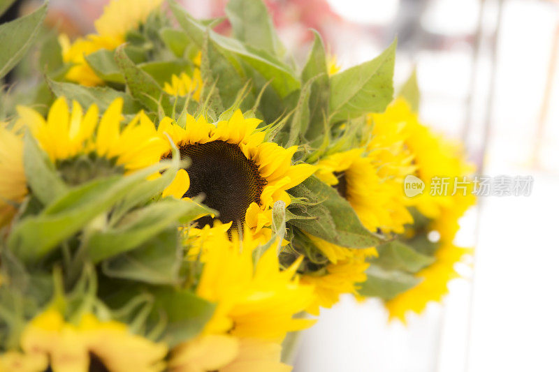 花:花店中一束黄色的向日葵。